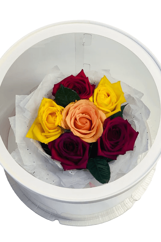 26x32 Round Transparent Box With Window Lid - TEM IMPORTS™