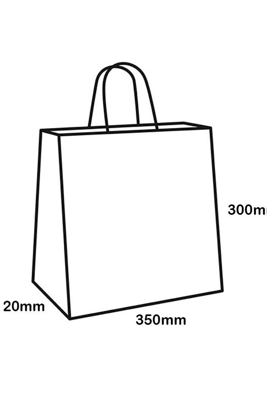 35x30x12cm Clear PVC Gift Bag - TEM IMPORTS™