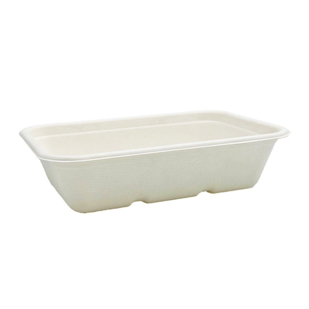 500mL White Sugarcane Rectangular Container - TEM IMPORTS™