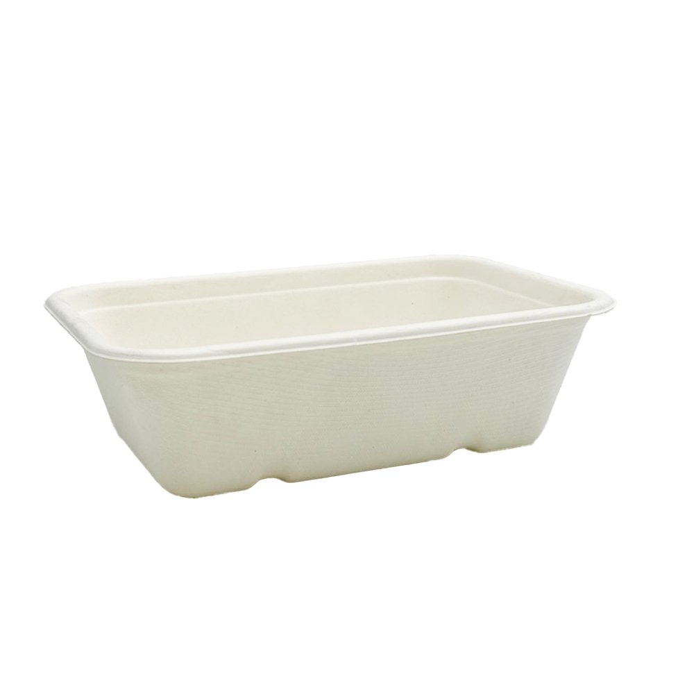 650mL White Sugarcane Rectangular Container - TEM IMPORTS™