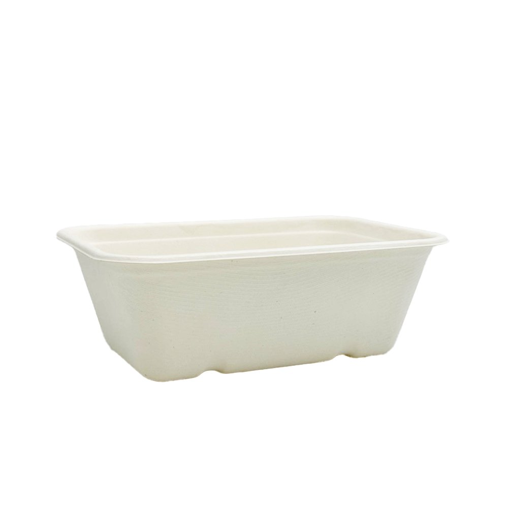 750mL White Sugarcane Rectangular Container - TEM IMPORTS™