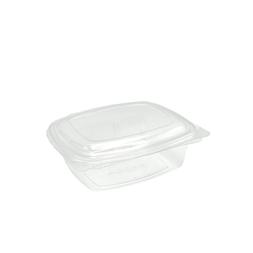 Fresh Seal Anti-Fog Hinged Rectangular Container