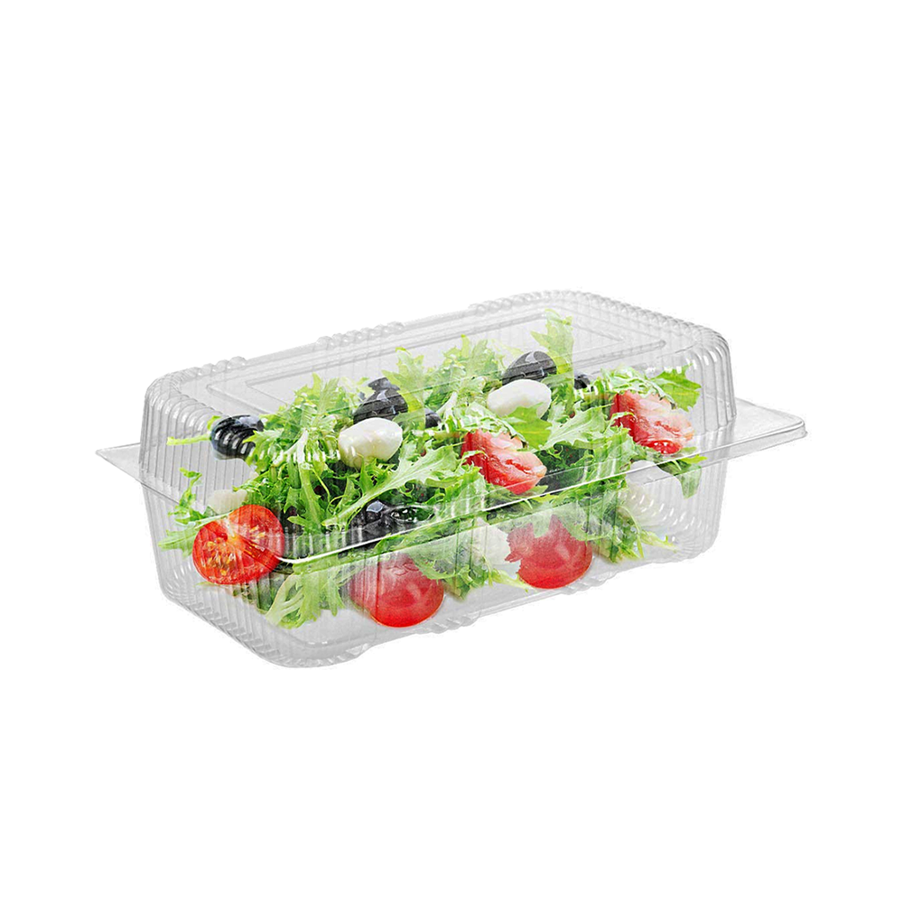 Large Rectangular Plastic Cake Hinged Container