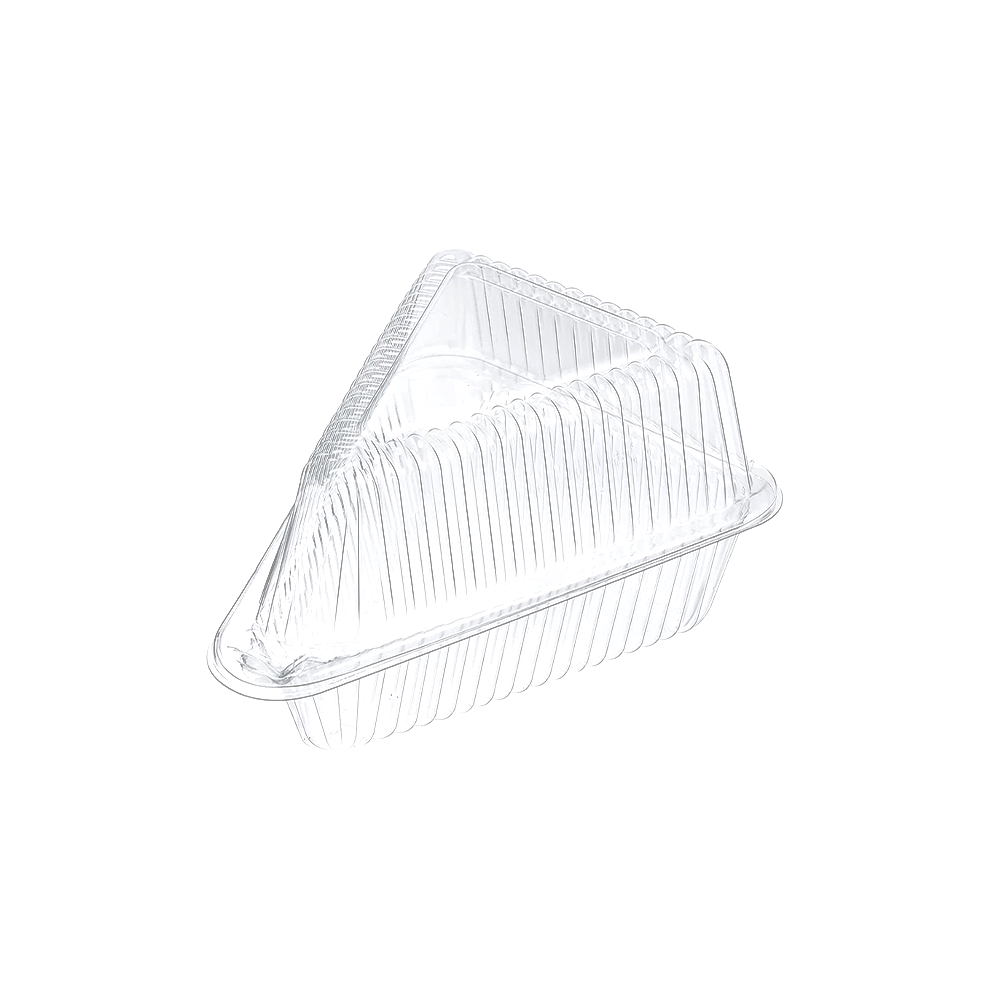 Triangle Shape Cake Slice Hinged Lid Container