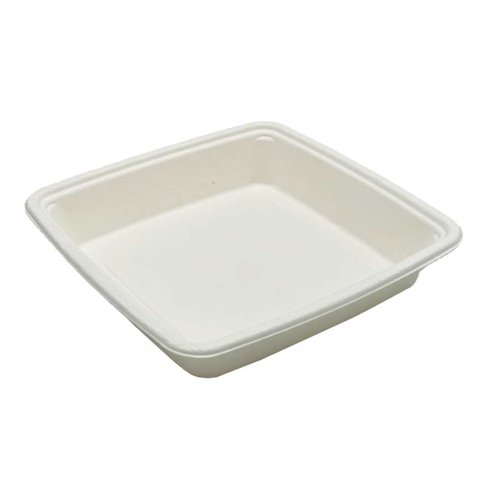 Square Takeaway Sugarcane 9" Inch Tray - No Compartment