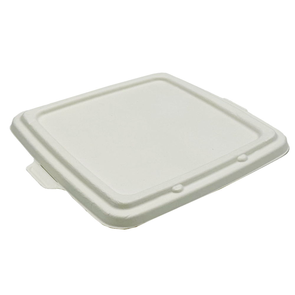 Plain White Sugarcane Lid For 9" 3 Compartment Tray