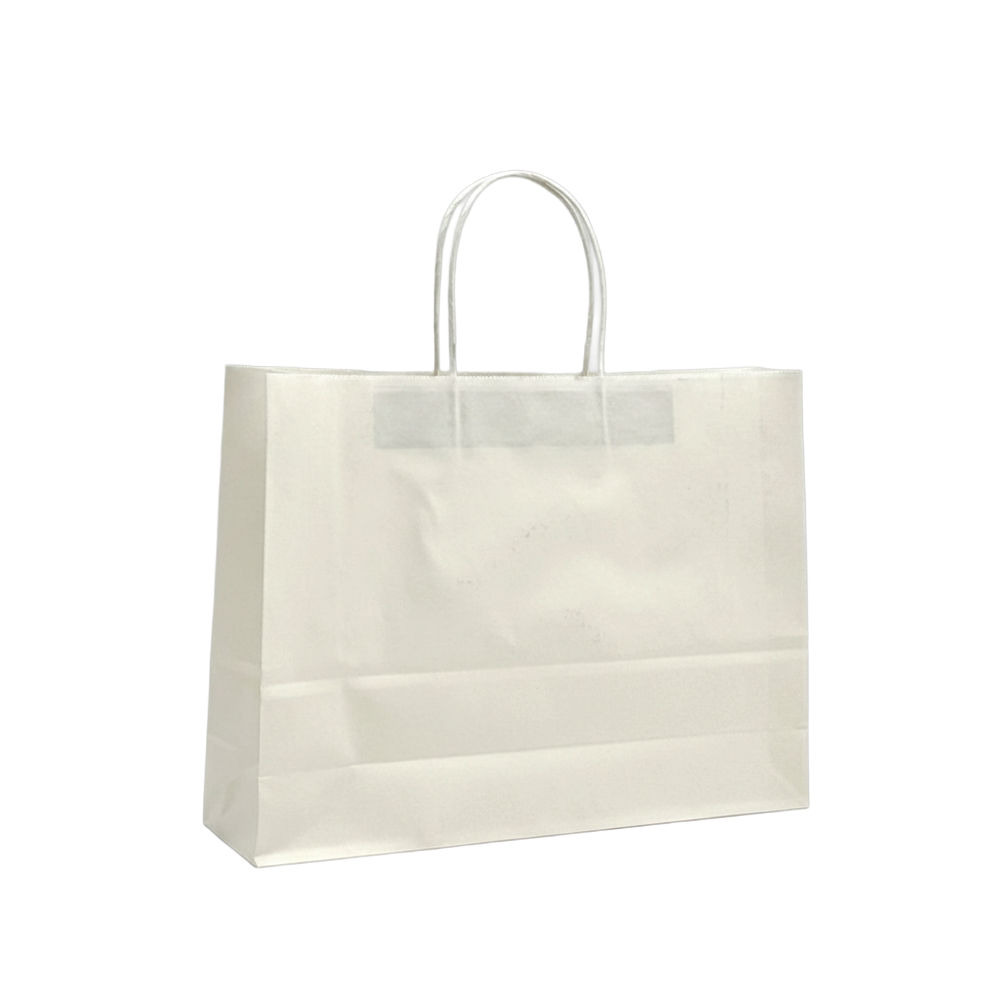 Medium Boutique White Twisted Handle Paper Bag - 250/CTN