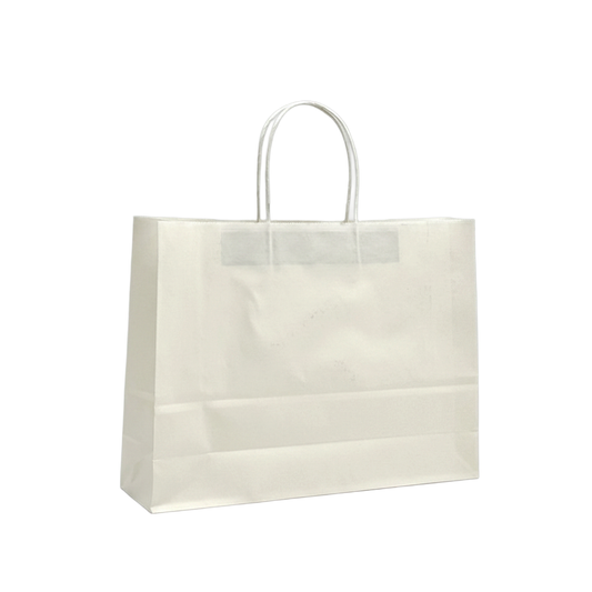 Medium Boutique White Twisted Handle Paper Bag - 250/CTN