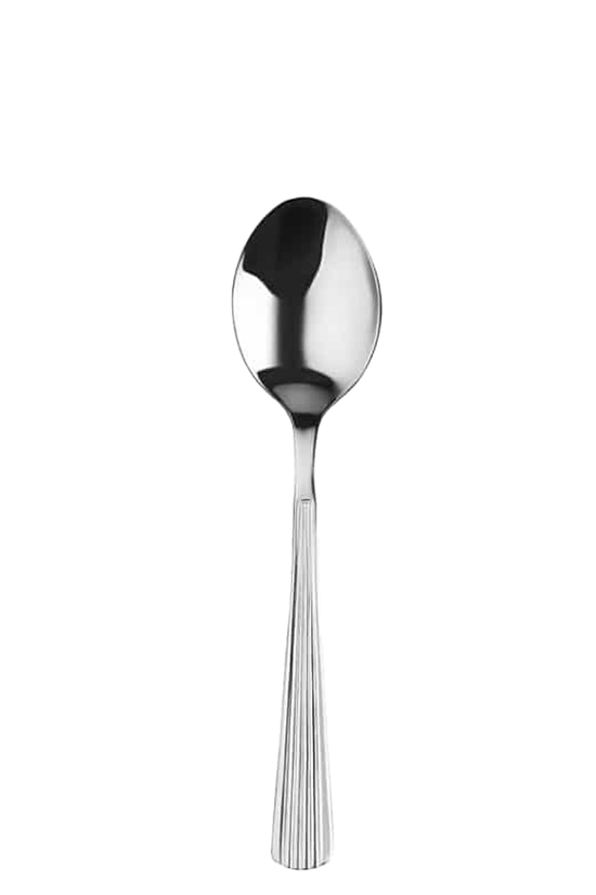 Carlton Stainless Steel Cutlery - Sold In Dozen - TEM IMPORTS™