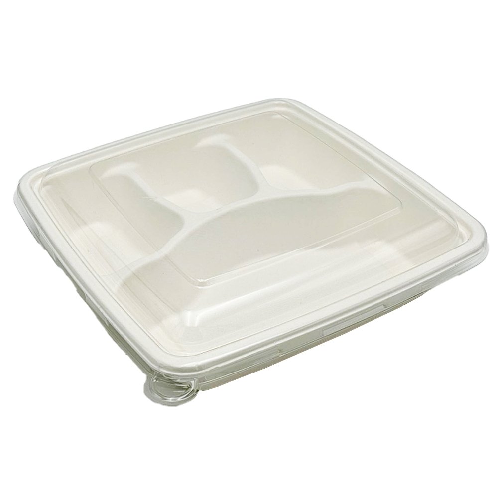 Clear PET Lid For Sugarcane 9" No Compartment Tray - TEM IMPORTS™