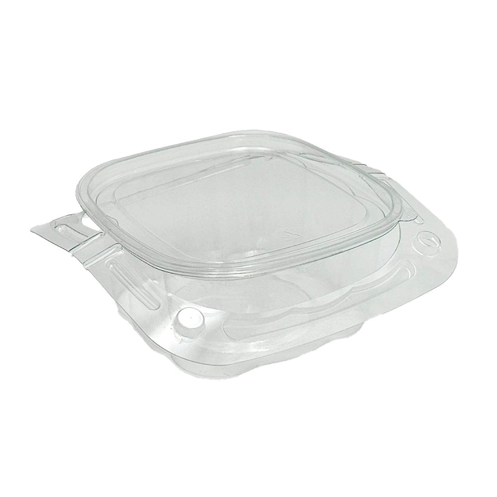 Clear PET Plastic Small Cake Container With Lid - TEM IMPORTS™