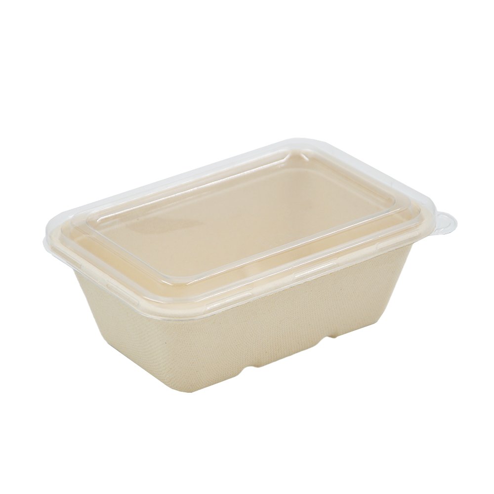 Clear Rectangular Lid suits Natural 500/650/750mL - TEM IMPORTS™