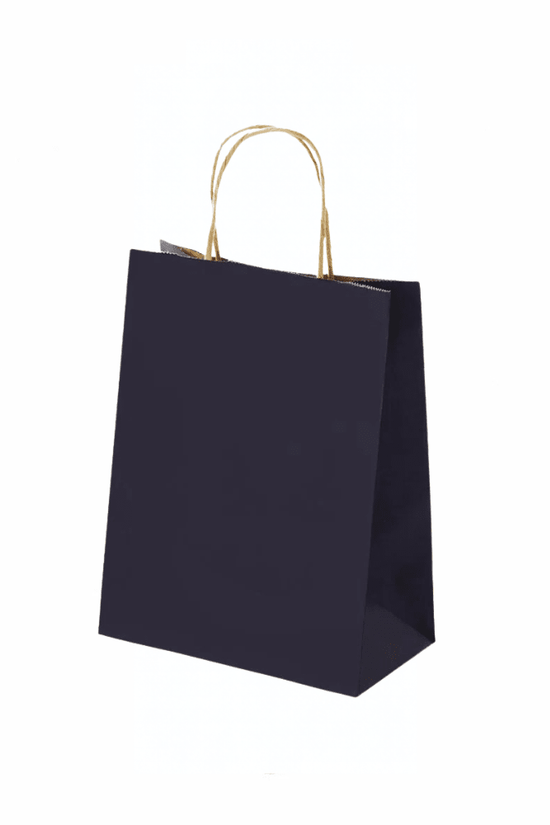 Extra Small Navy Blue Twisted Handle Paper Bag (Carton of 250) - TEM IMPORTS™