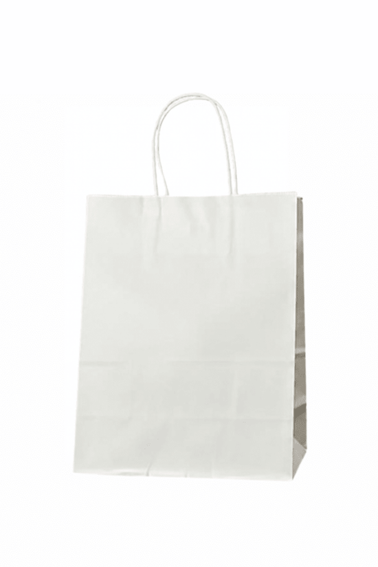 Extra Small White Twisted Handle Paper Bag (Carton of 250) - TEM IMPORTS™