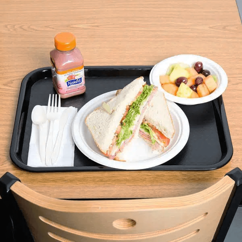 Fast Food Plastic Tray 400x300mm - TEM IMPORTS™