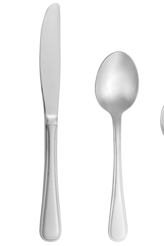 Isabelle Stainless Steel Cutlery - Sold In Dozens - TEM IMPORTS™