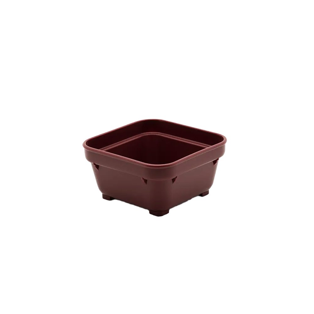 KH Healthcare 220mL Square Bowl Burgundy #19 (Box 12) - TEM IMPORTS™