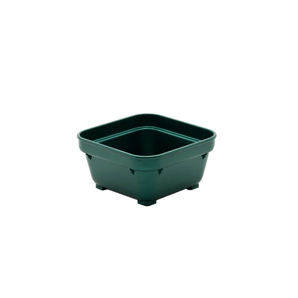 KH Healthcare 220mL Square Bowl Green #19 (Box 12) - TEM IMPORTS™