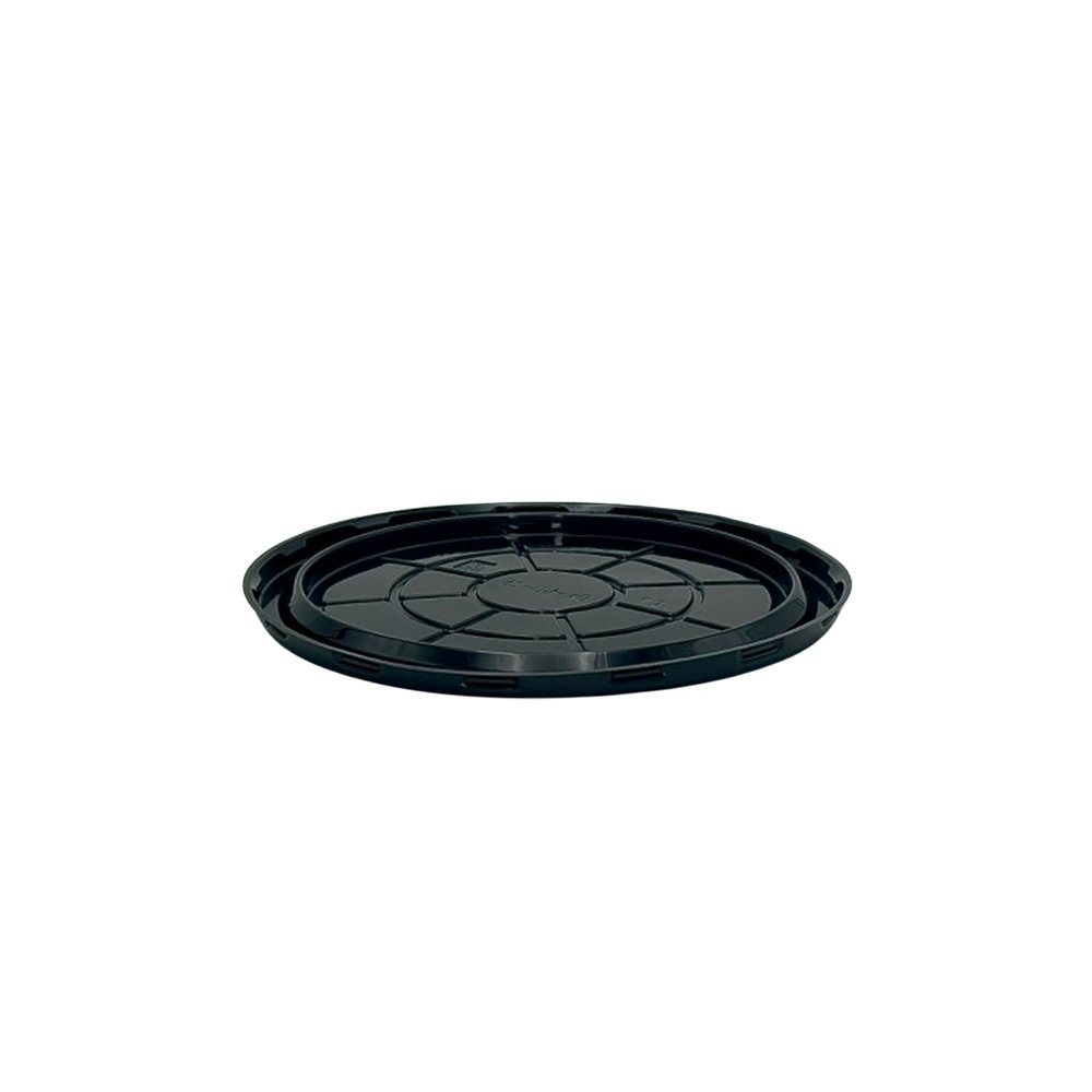 Large Cake Clearview Dome Lid Container - TEM IMPORTS™