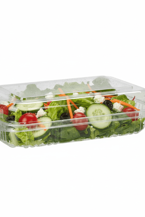 Large Rectangular Takeaway Salad Container with Hinged Lid (Carton of 250) - TEM IMPORTS™