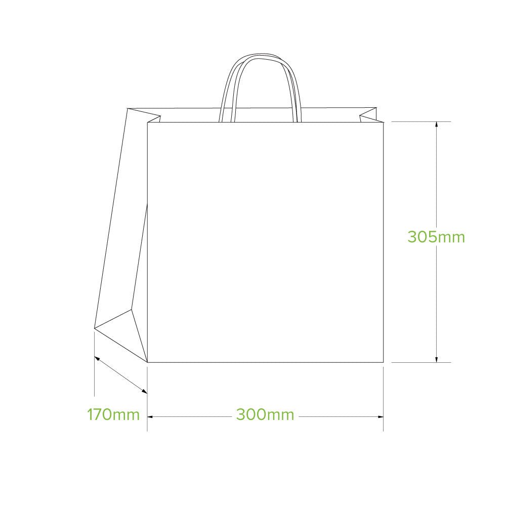 Large Twist Handle Kraft Paper Bags - 250/CTN - TEM IMPORTS™