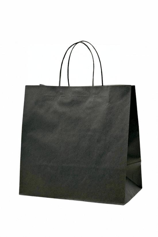 Medium Black Paper Takeaway Bags with Twisted Handles (Carton of 250) - TEM IMPORTS™