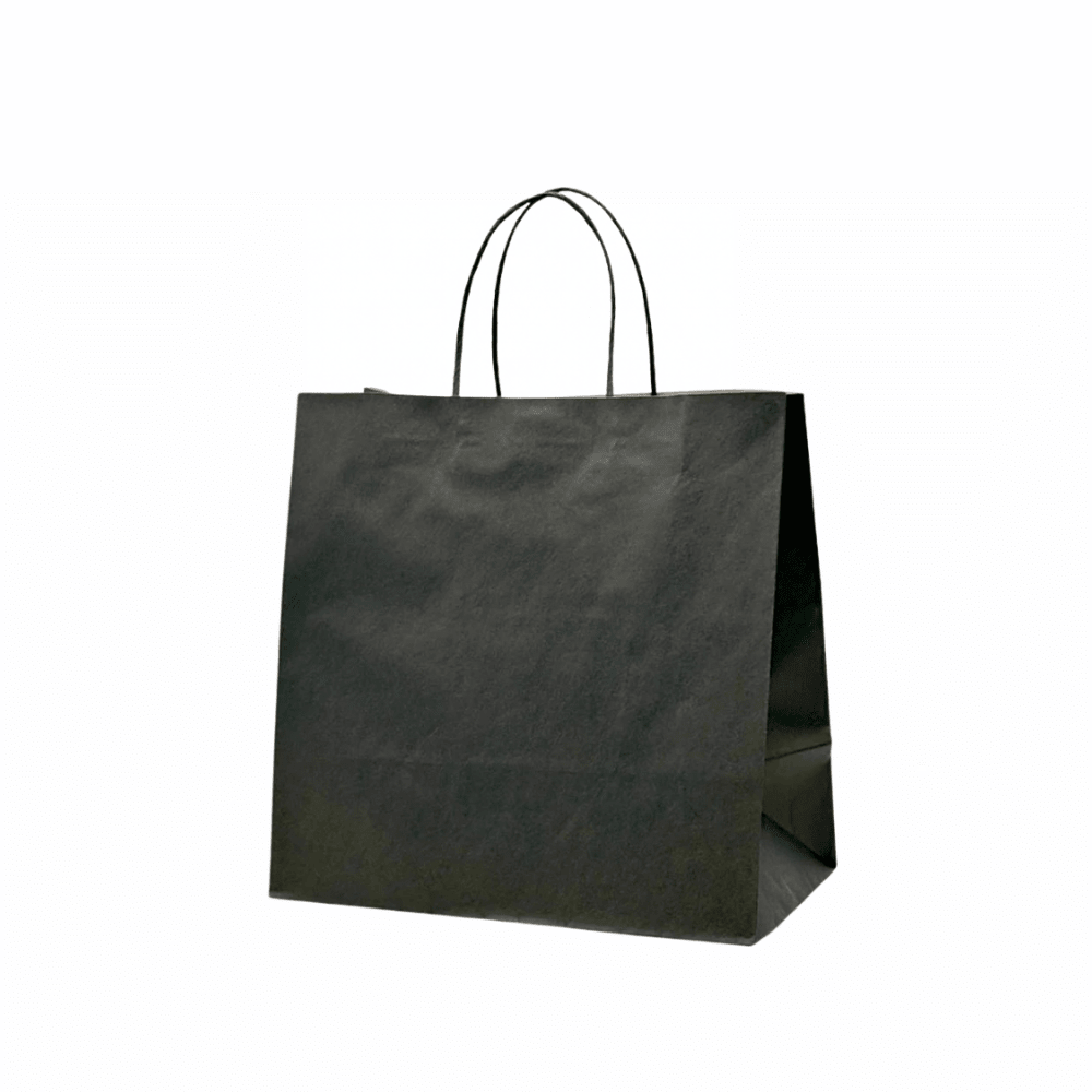 Medium Black Paper Takeaway Bags with Twisted Handles (Carton of 250) - TEM IMPORTS™