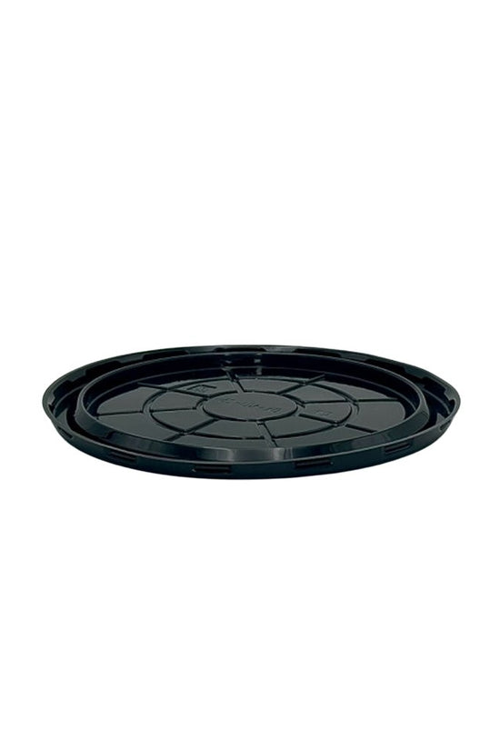 Medium Cake Clearview Black With Dome Lid - TEM IMPORTS™