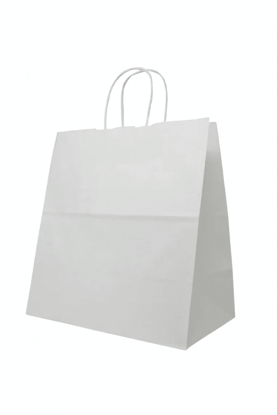 Medium White Paper Takeaway Bags with Twisted Handles (Carton of 250) - TEM IMPORTS™