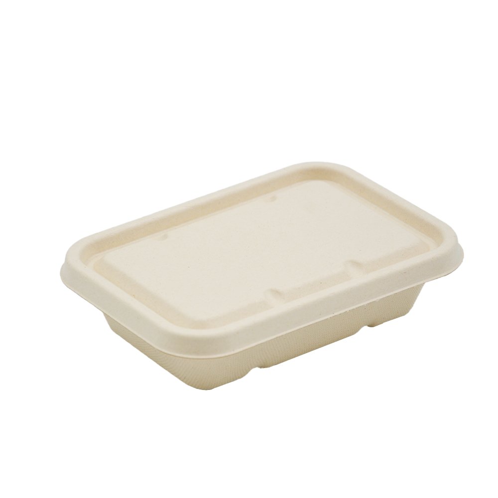 Natural Sugarcane Rectangular Lid suits 500/650/750mL - TEM IMPORTS™