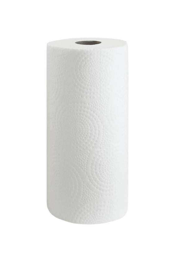 Premium 2-Ply Kitchen Paper Towel Rolls – Individually Wrapped (Carton of 12) - TEM IMPORTS™