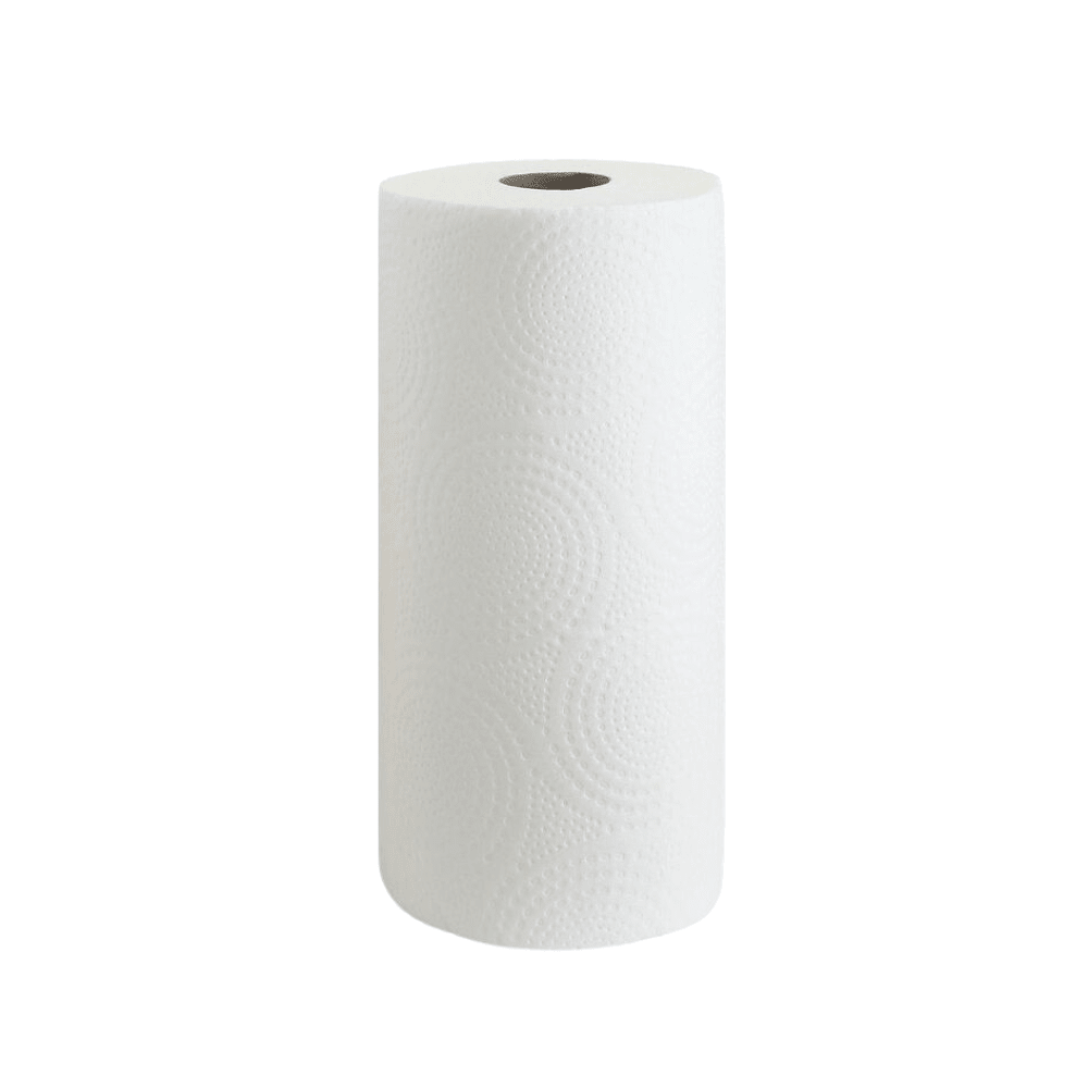 Premium 2-Ply Kitchen Paper Towel Rolls – Individually Wrapped (Carton of 12) - TEM IMPORTS™