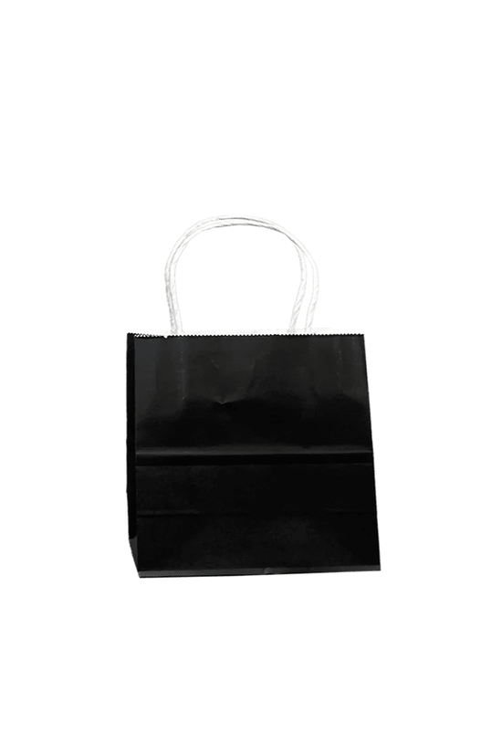Retail Takeaway Black Twisted Handle Paper Bag Mini - 500/CTN - TEM IMPORTS™