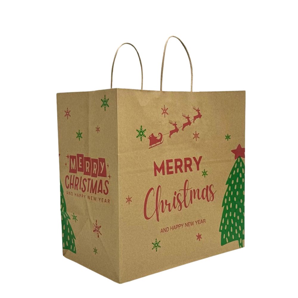 Retail Takeaway Kraft Twisted Handle Printed Paper Bag - Medium - TEM IMPORTS™