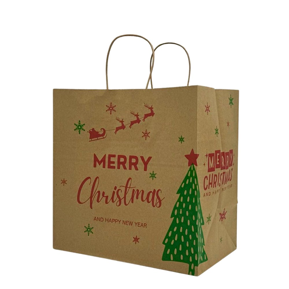 Retail Takeaway Kraft Twisted Handle Printed Paper Bag - Medium - TEM IMPORTS™