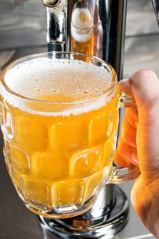 Sheffield® Dimple Beer Mug Glass - 570mL - TEM IMPORTS™