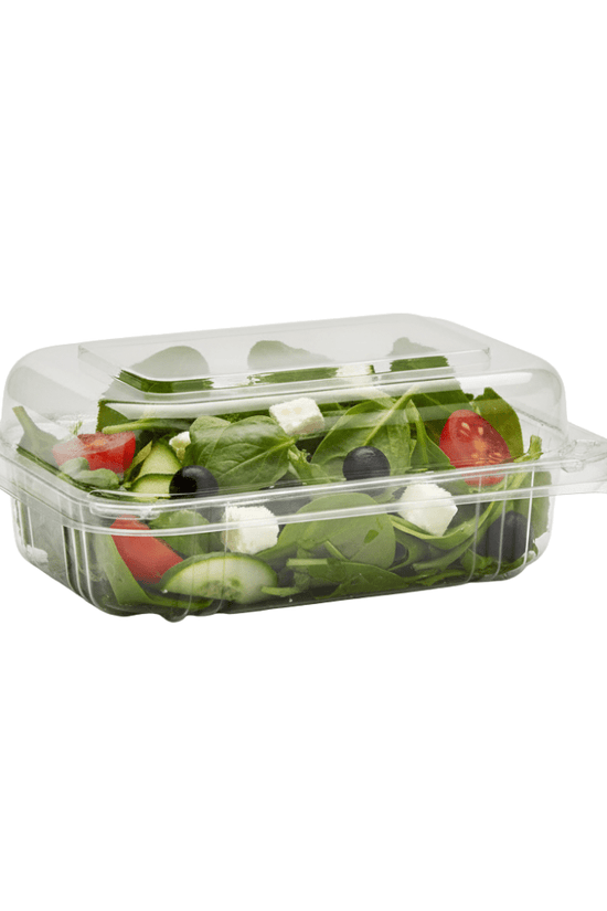 Small Rectangular Takeaway Salad Container with Hinged Lid (Carton of 250) - TEM IMPORTS™