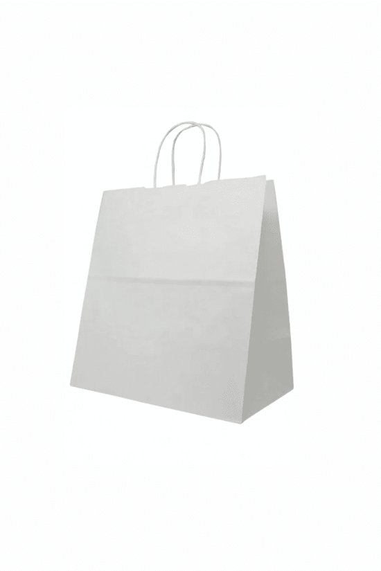 Small White Paper Takeaway Bags with Twisted Handles (Carton of 250) - TEM IMPORTS™