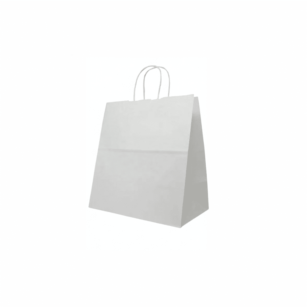 Small White Paper Takeaway Bags with Twisted Handles (Carton of 250) - TEM IMPORTS™