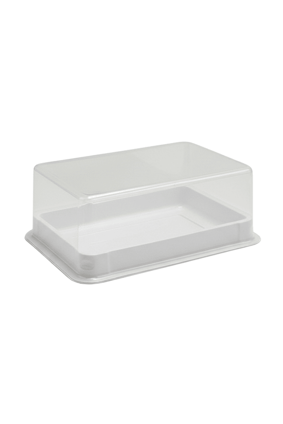 Small White Rectangular Plastic Cake Tray With Clear Lid - TEM IMPORTS™