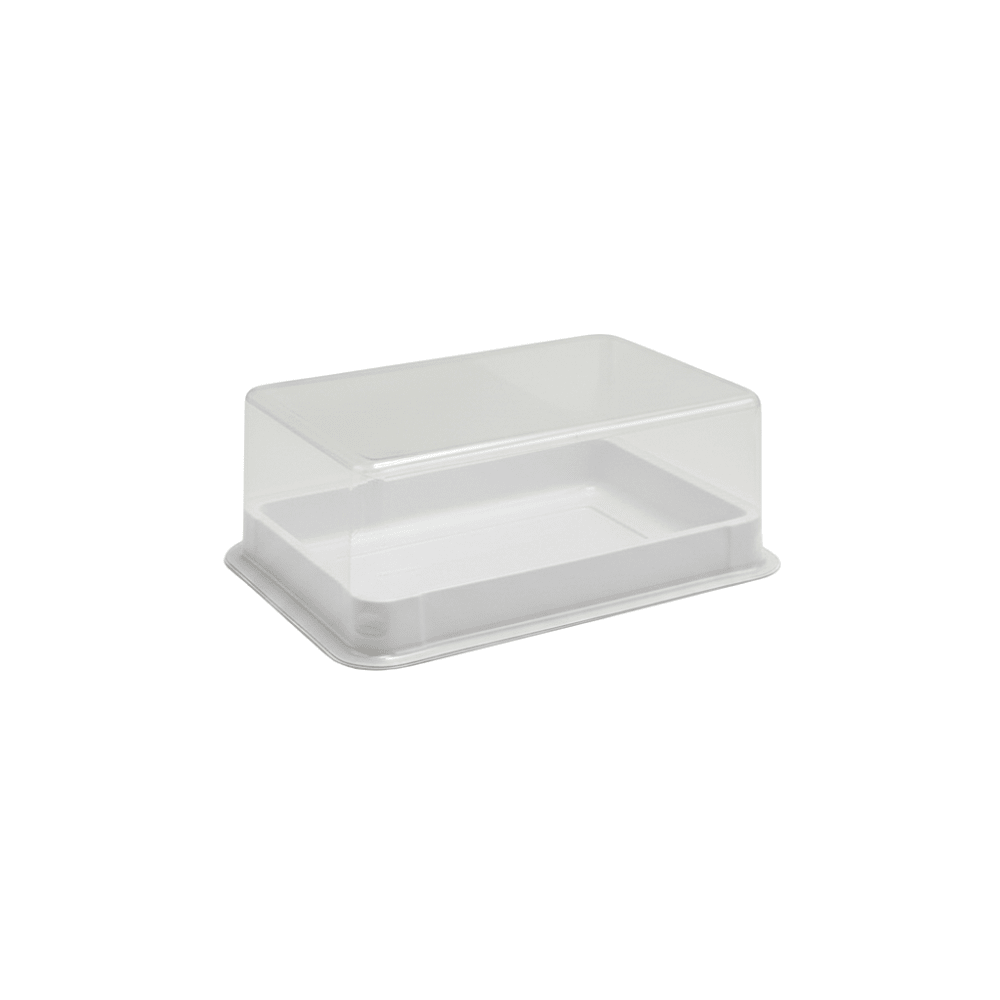 Small White Rectangular Plastic Cake Tray With Clear Lid - TEM IMPORTS™
