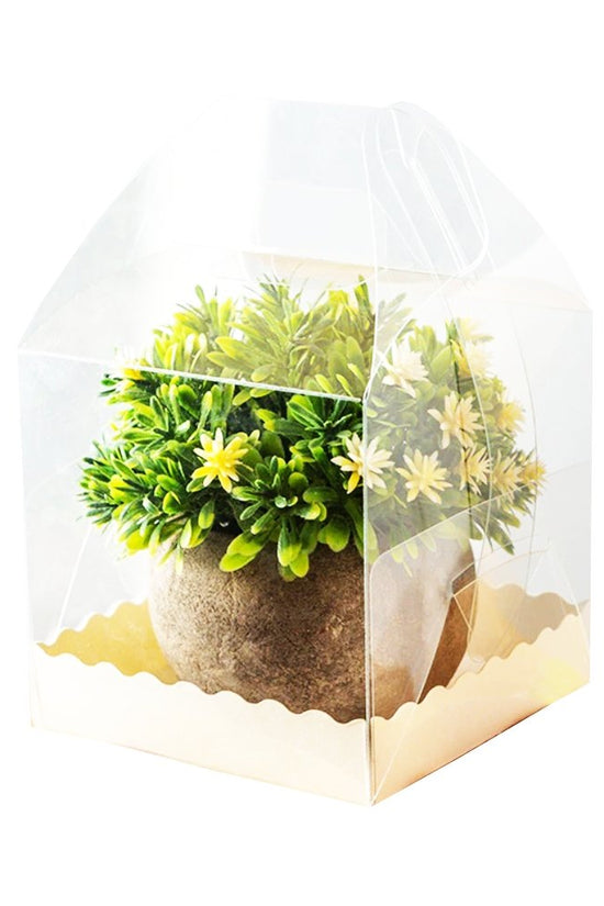 110x110x110 Square Transparent Box With Handle - TEM IMPORTS™