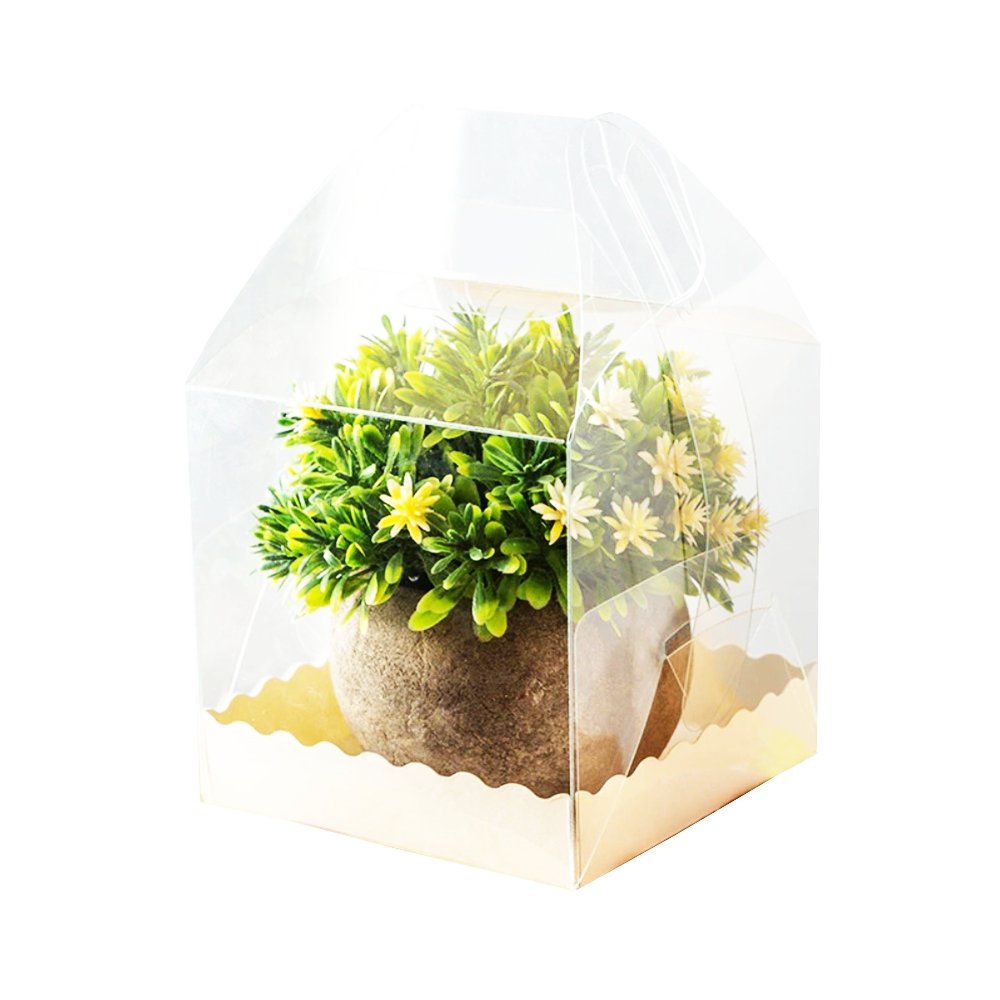 110x110x110 Square Transparent Box With Handle - TEM IMPORTS™