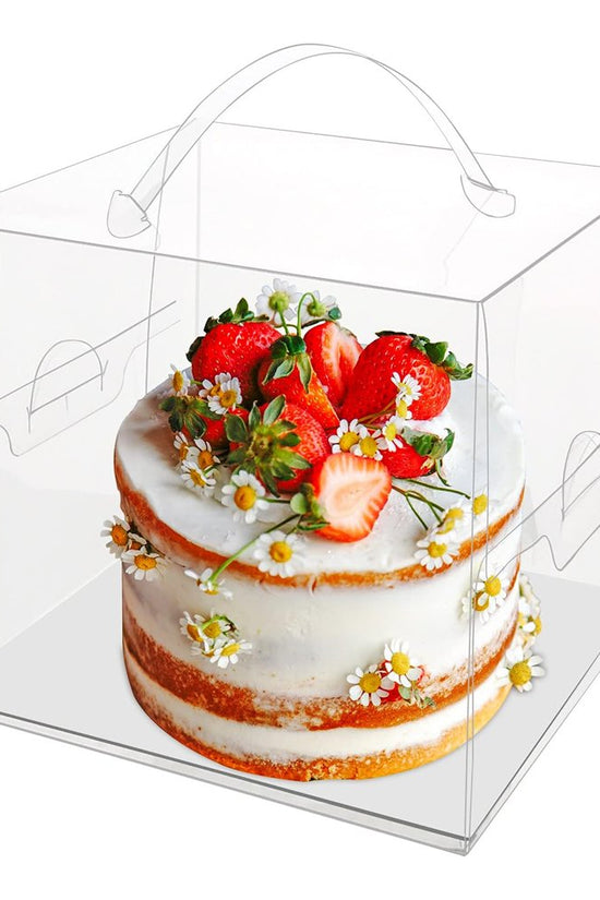 110x110x110mm Clear Square Box With Handle - TEM IMPORTS™