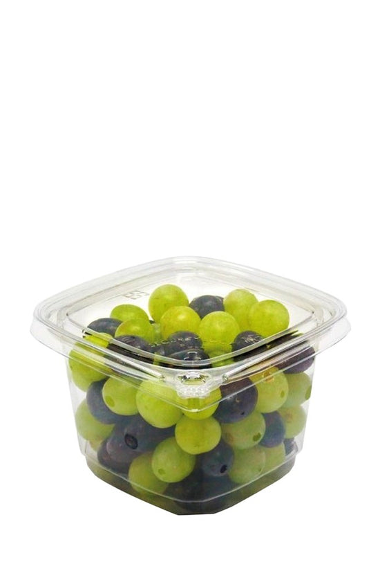 16oz/500mL Tamper Evident Square Deli Container Base - TEM IMPORTS™