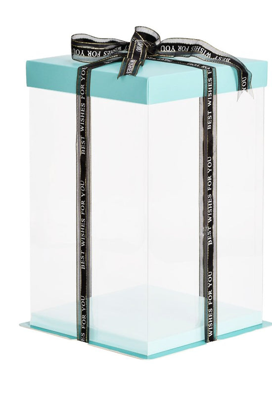 20x20x31 Clear Square Cake Box With Paper Lid - TEM IMPORTS™