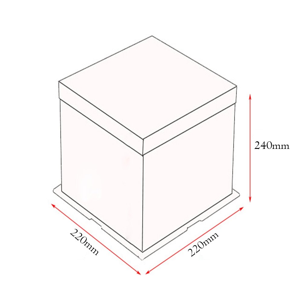 22x22x24 Clear Square Cake Box - White - TEM IMPORTS™