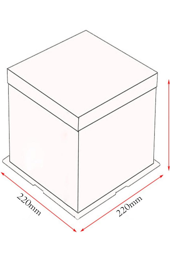 22x22x30 Clear Square Cake Box - White - TEM IMPORTS™