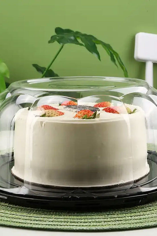 260x115mm Clearview Dome Container - TEM IMPORTS™