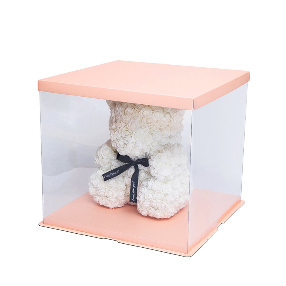 30x30x25 Clear Square Cake Box With Paper Lid - TEM IMPORTS™